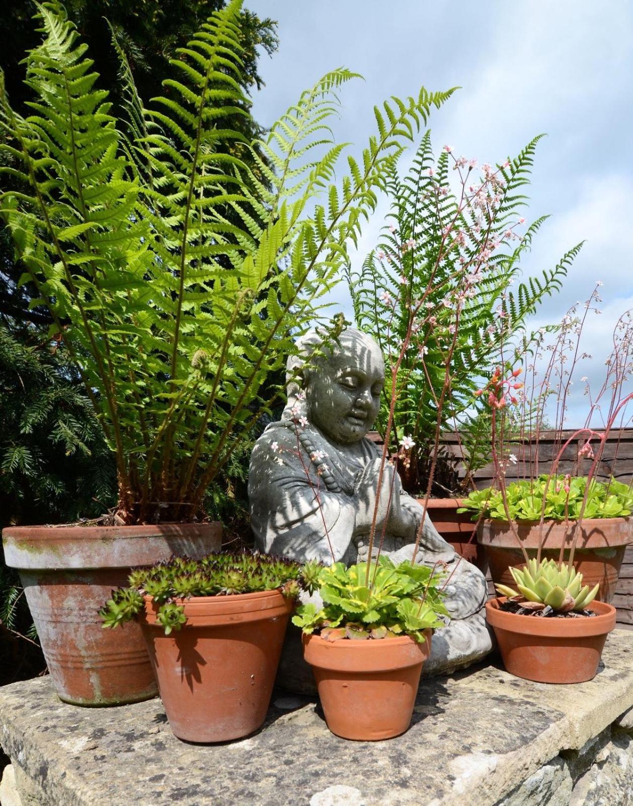 Вилла Yew Tree House Вудсток Экстерьер фото